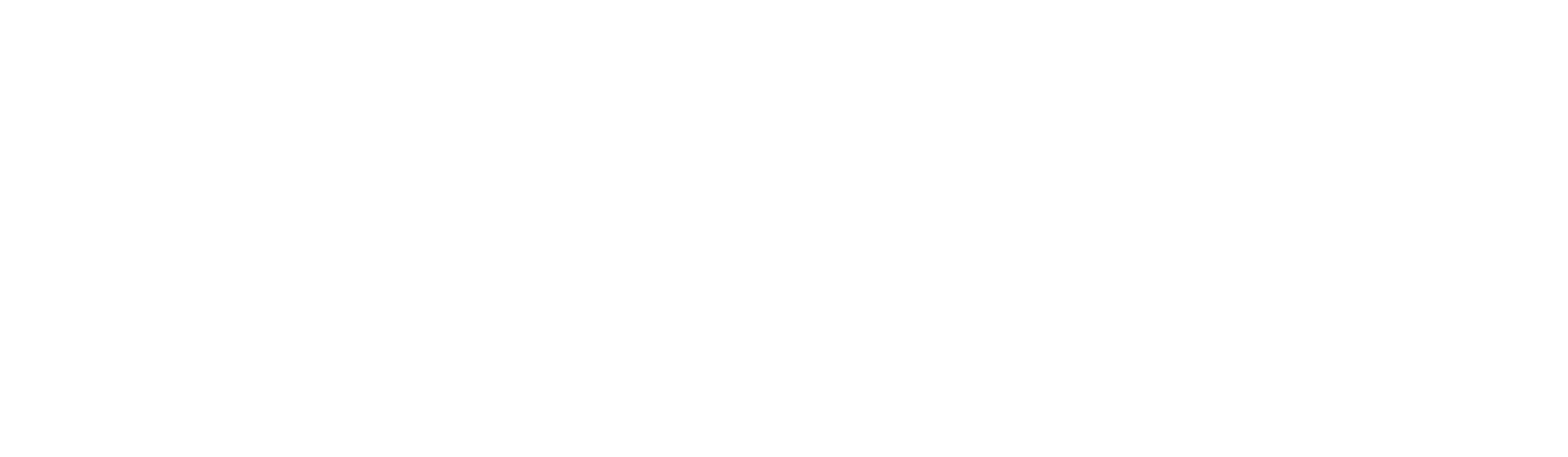 Flizz Email Marketing